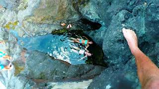 Mokes Cliff Jumping