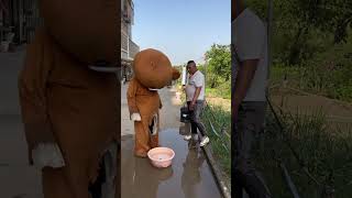 What watermelon do you eat on a hot day, Pippi Bear Funny video #rippibear #viralshorts #trollbear