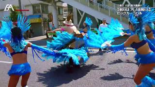 【アレグリア】江東区民まつり大島地区大会 ビッグカーニバル vol.1