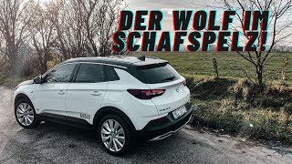 300 PS Wolf im Schafspelz! Opel Grandland X Hybrid 4