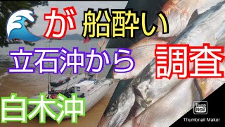 【敦賀立石沖２馬力ボート釣り⑱】立石沖から白木沖まで転々と青物調査したらシイラだらけだった