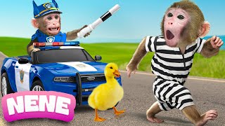 Monkey NeNe pretend Paw Patrol Police Chase Thief to rescue Duckling | NENE ANIMAL MONKEY