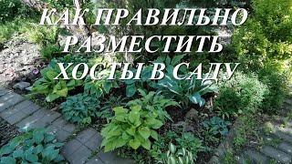 Как правильно разместить хосты в саду