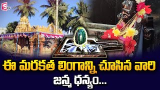 History Of Sri Marakatha Shiva Lingam Temple | Marakata Lingam Secrets | SumanTV Telugu