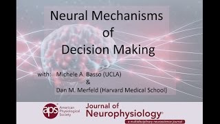 Neural Mechanisms of Decision Making