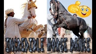 Incredible Horse Dance 2020 | آپ اس گھوڑے کا ڈانس دیکھ کر حیران ہو جائیں گے | LM Studio \u0026 Vlogs