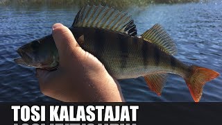 Mato-ongella | karikon kupeella ja rantamatalassa