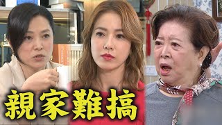 【一家團圓】EP15 帥姐雅芳不甩慈英威脅護妹幸福 帶種開嗆阿嬤請明事理好嗎｜Family Reunion