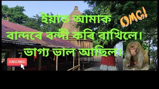 Hatimura temple || হাতীমূৰা মন্দিৰ।