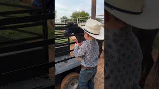 little boy caresses and feeds a horse