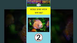 মাছের রাজা কাকে বলা হয়/fish/gk quiz/ dhadharsomadhan/সাধারণ জ্ঞান/ধাঁধা #shorts