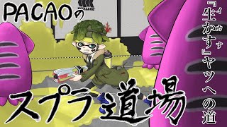 【PACAOのスプラトゥーン2生配信】29日の大会に向けて　キャンプよ、前で戦い続けろ