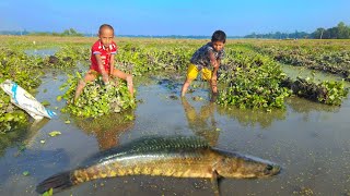 Amazing Catfish kids Fishing 🖤Catching Fish By Kids Fishing Mun With Hand