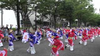 十人十彩（スーパーよさこい2013）NHK前ストリート