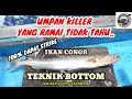 CARA-CARA POTONG & PASANG UMPAN IKAN CONOR / T.MUDIM.. UMPAN KILLER YANG RAMAI PEMANCING TIDAK TAHU👍