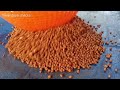 very famous masala peanut roasted peanut factory production kerala snacks factory asmr