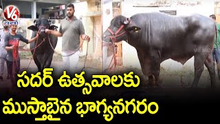 సదర్ ఉత్సవాలకు ముస్తాబైన భాగ్యనగరం.. Sadar Celebrations To Begin From 5th November | V6 News