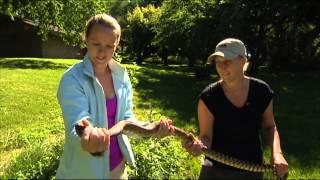 Radios on a Snake | Top Stories | CBC