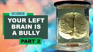 Your left brain is a bully | Harvard Professor of Neuroscience Dr Jill Bolte Taylor meets Robin Ince