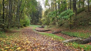 Парк Тышкевичей в Логойске