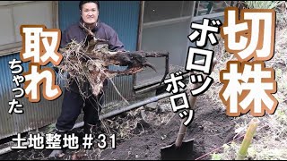 土地整地＃31｜蹴ったらあっけなく木の根が取れちゃった｜継続は力なり｜田舎の自然の癒しをお届け