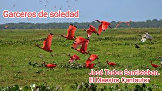 Garceros de soledad. José Tadeo Santisteban. El Maestro Cantautor