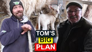 LAMBING Season on Clydes Farm Alan Clyde | FarmFLiX