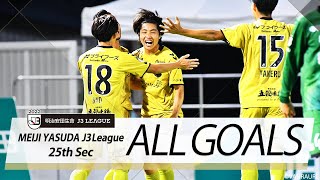 Ｊ３第25節の全ゴールまとめ！ALL GOALS：明治安田生命Ｊ３第25節