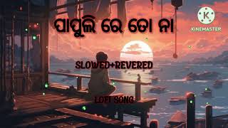 ପାପୁଲି ରେ ତୋ ନା || SLOWED+REVERED || LOFI SONG || ODIA SONG ||#trending #song@HP_LOFI_CREATOR