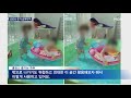 베터파크에 홈캉스라도…코로나 시국 휴가 궁여지책 mbn 종합뉴스