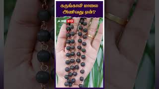 கருங்காலி மாலை அணிவது ஏன்? | Karungali Malai Benefits | Ebony Wood