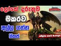 මකරු කියන්නේ දරුණු සත්තු නෙමේ | How To Train Your Dragon 01 | Movie Review Sinhala