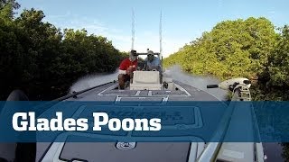 Everglades Backcountry Tarpon - Florida Sport Fishing TV - Shallow Water Light Tackle