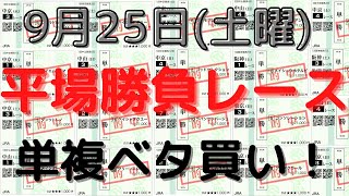 【競馬予想】９月２５日の平場勝負レース（４レース）！単複ベタ買いで高い回収率を出せる狙い馬！