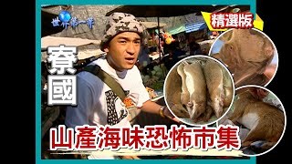 【寮國】永珍恐怖野味市集 各式山產海味大開眼界｜《世界第一等》85集小馬精華版