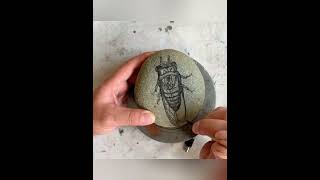 Can I Paint a Cicada on a Rock? #art