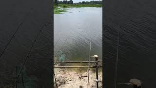 ตกปลาหน้าดินหมายธรรมชาติ #fishing #กีฬา #food #ตกปลา #shorst #heyㅤbnlズ