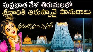 తిరుమలలో తిరుప్పావై I ధనుర్మాసం ప్రత్యేక సేవ I TTD తెలుగులో తాజా సమాచారం I #ttd