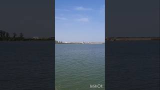 Вид з Румунії на Україну 🇺🇦 Ісакча - Орлівка #паром #дунай #romania #danube #shorts #румунія