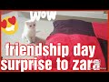 Friendship day surprise 🎁 to zara😍 our persian cat in telugu// with english subtitles//