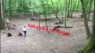 NAkawala si Loki