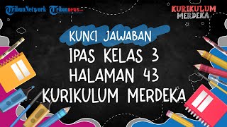 Kunci Jawaban IPAS Kelas 3 Halaman 43 Kurikulum Merdeka Bab 2: Mari Refleksikan