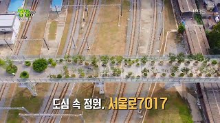 도심 속 공중 정원 서울로7017 [2TV 생생정보] 20200528