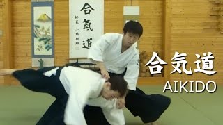 合気道 - 白川竜次先生【正面打ち自由技】 Aikido - Shirakawa Ryuji sensei