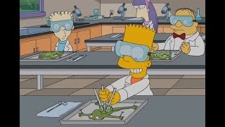 The Simpsons-The Way Bart Dissects Frogs!