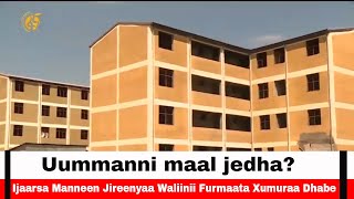 Ijaarsa Manneen Jireenyaa Waliinii Furmaata Xumuraa Dhabe- Uummanni maal jedha?