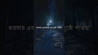 ভরসার একজোড়া হাত খুজেঁ পাওয়া ভীষণ কঠিন | Heart Touching Motivational Bani 2024 #shorts