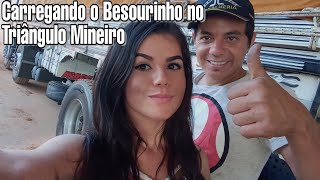 CARREGANDO DO BESOURINHO, E O QUE BALANÇA TU JÁ SABE 🍟🥔