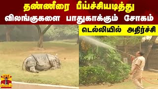 தண்ணீரை பீய்ச்சியடித்து விலங்குகளை பாதுகாக்கும் சோகம் - டெல்லியில் அதிர்ச்சி