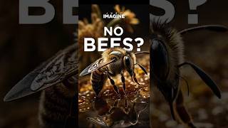 A World Without Bees! (The Shocking Truth) #bees #honey #honeybee #shorts #trending #trendingshorts